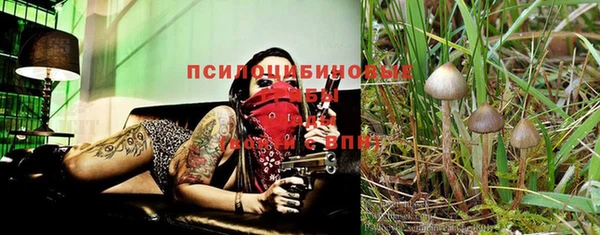 трава Мегион