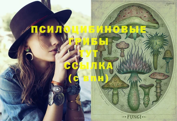 трава Мегион
