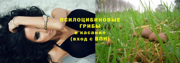 трава Мегион