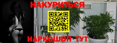 гидропоника Моздок