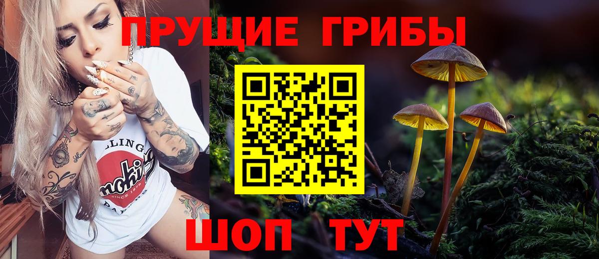Муравленко  Псилоцибиновые грибы Psilocybe  Вход с VPN 