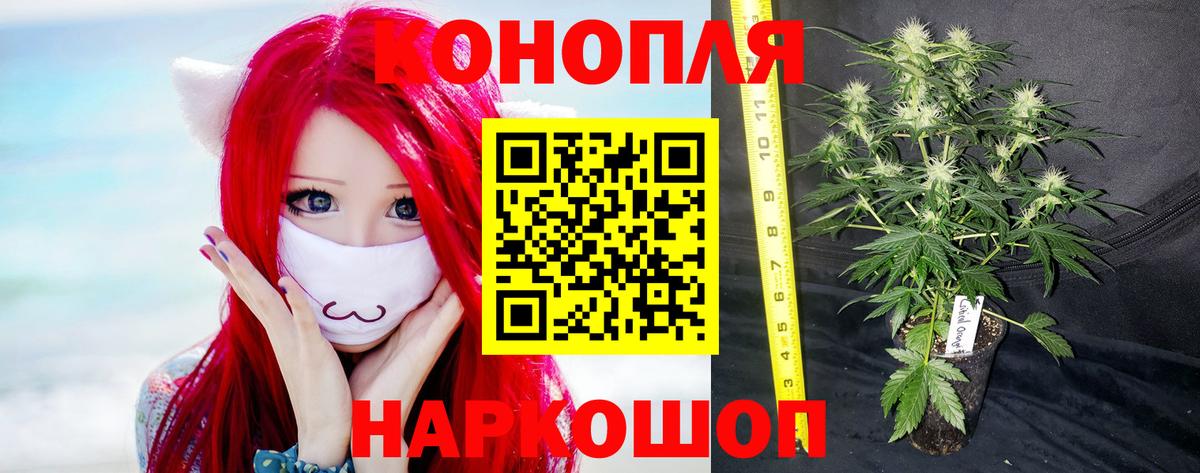 Марихуана MAZAR Муравленко
